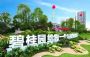 碧桂园高处不胜寒：首月销售双降 押注建筑机器人