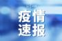 世卫组织：中国以外新冠确诊病例达4163925例
