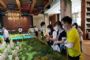 留汉新武汉人成购房主力，“拧包入住房”最受欢迎，5月武汉楼市加速回暖